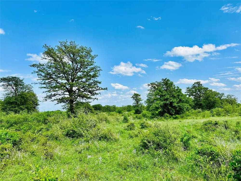 Cr 429 Cross Plains, TX 76443