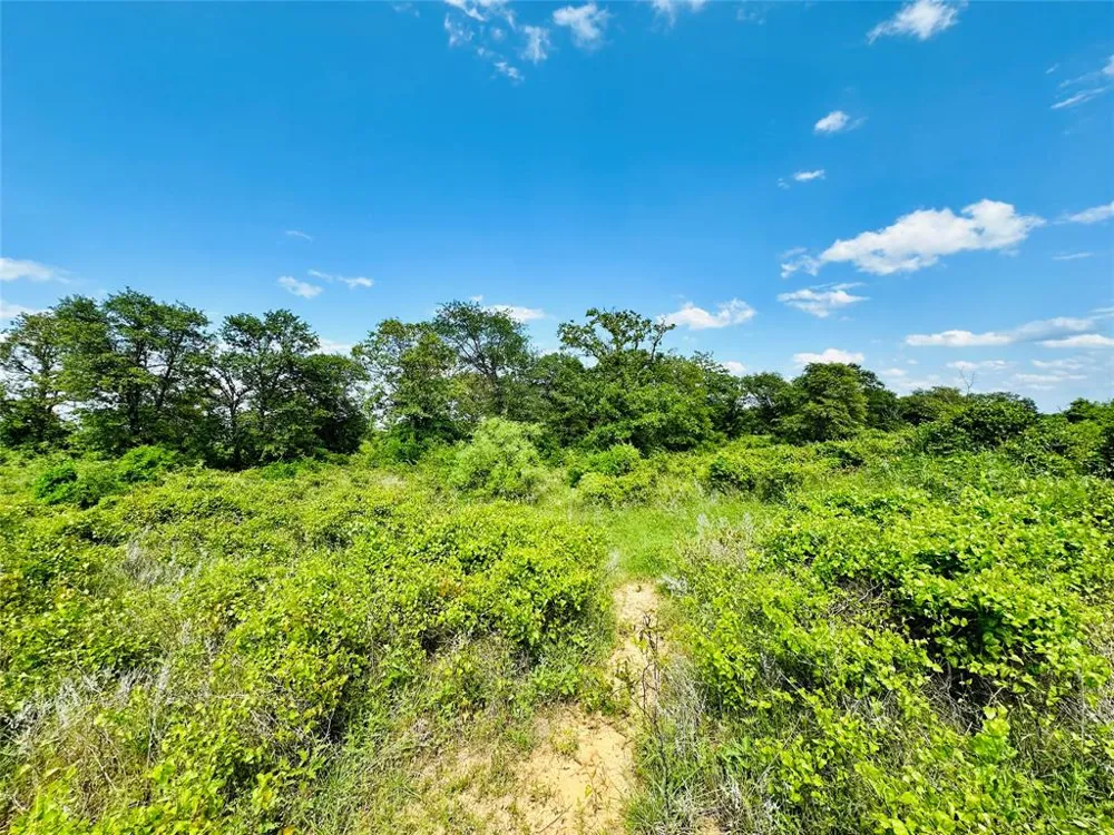 Cr 429 Cross Plains, TX 76443