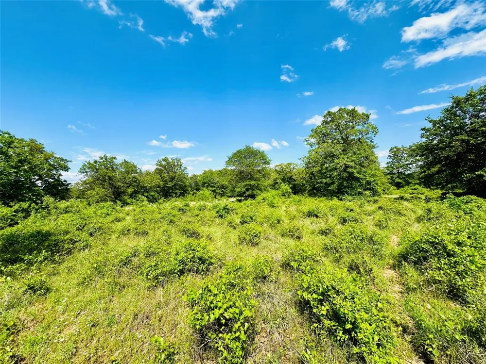 Cr 429 Cross Plains, TX 76443