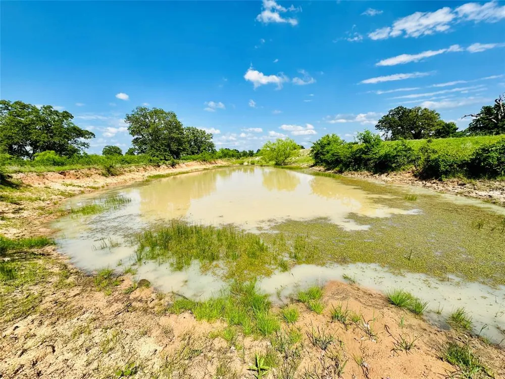 Cr 429 Cross Plains, TX 76443