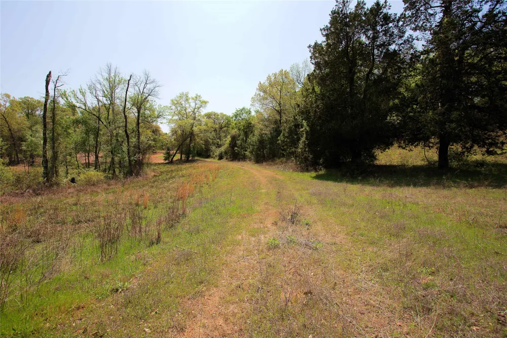 998 County Road 311 Tyler, TX 75706