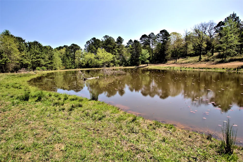 998 County Road 311 Tyler, TX 75706