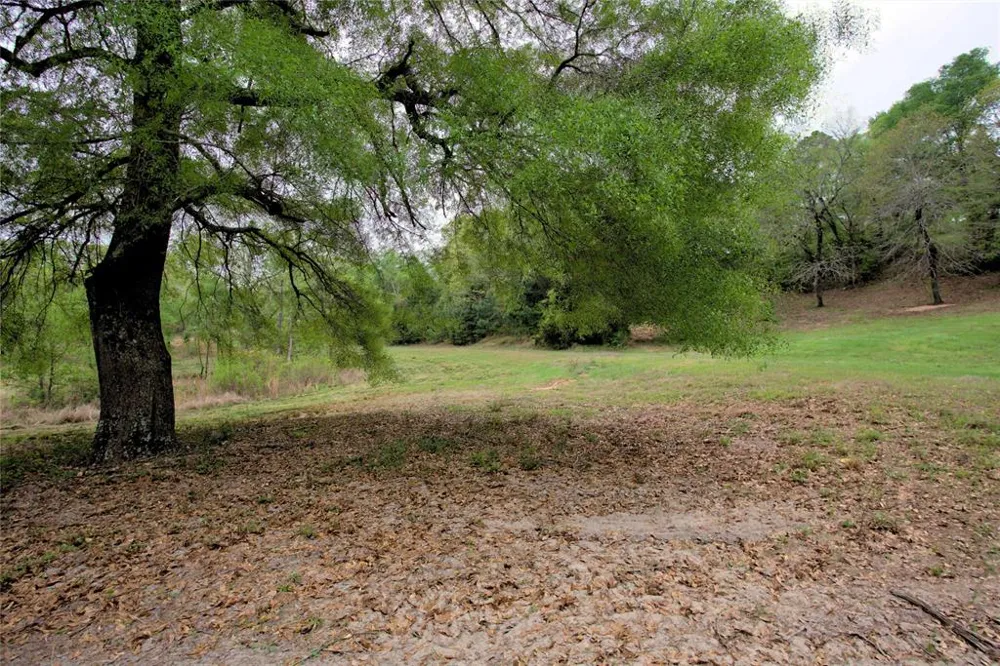 998 County Road 311 Tyler, TX 75706