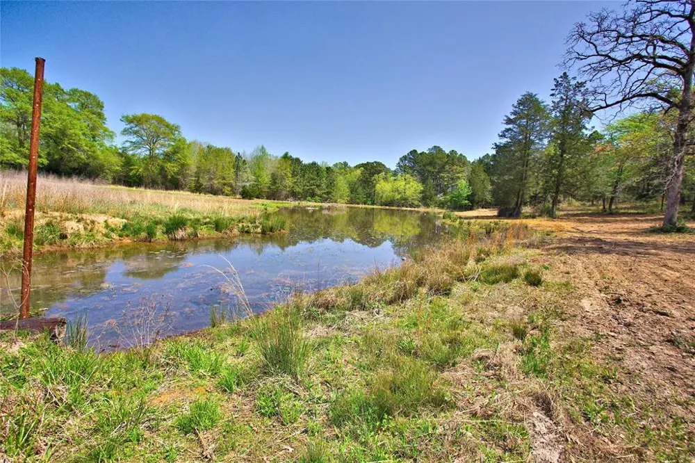 998 County Road 311 Tyler, TX 75706