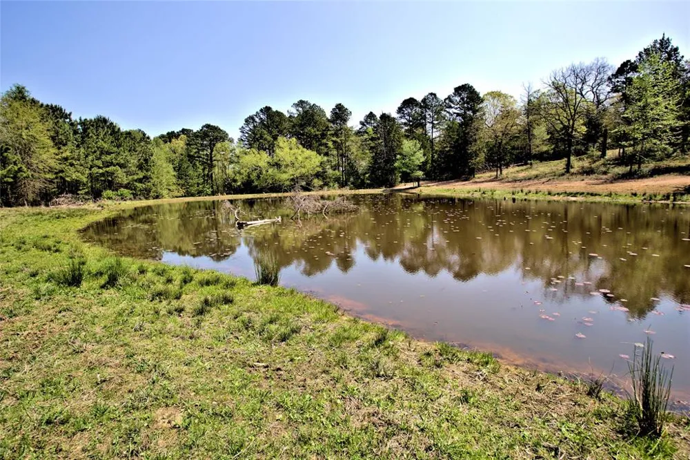 998 County Road 311 Tyler, TX 75706