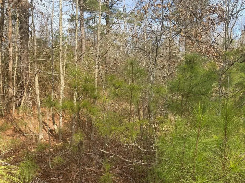 CR 2622 Marietta, TX 75566