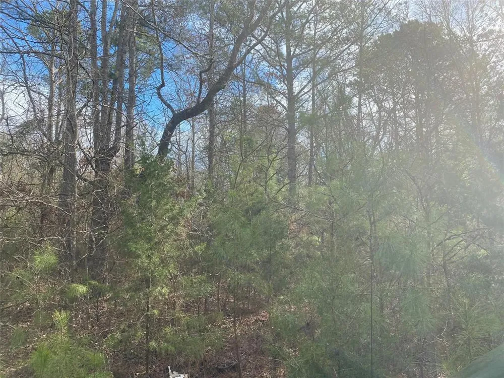 CR 2622 Marietta, TX 75566