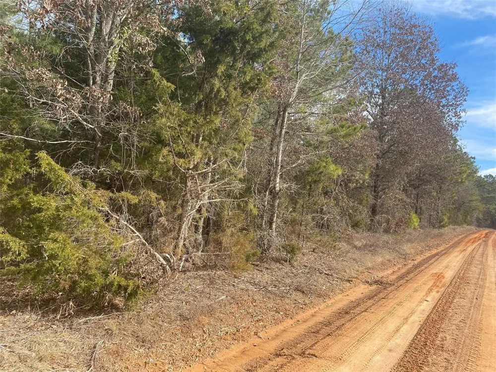 CR 2622 Marietta, TX 75566