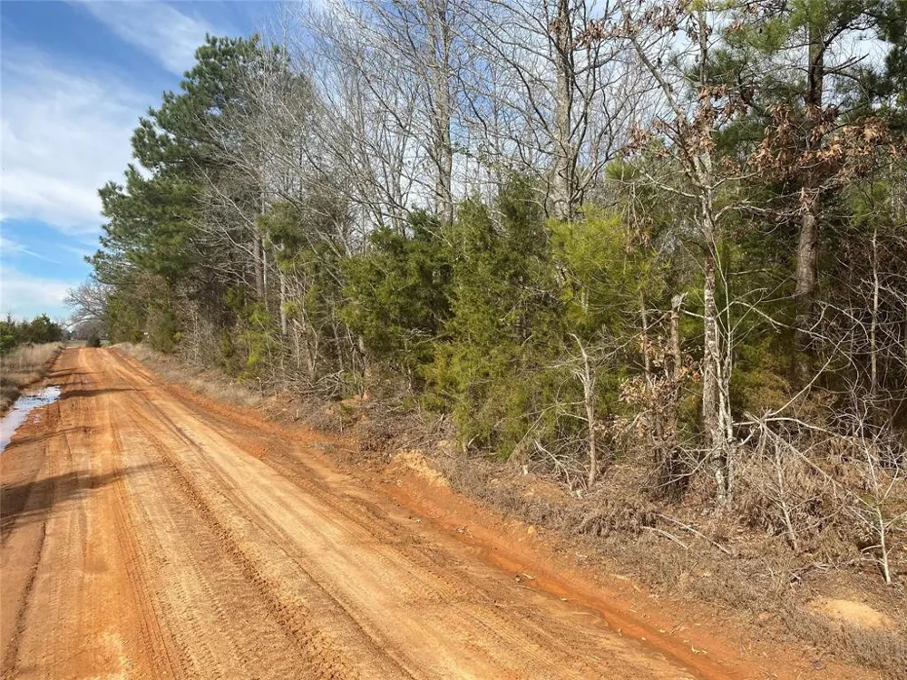 CR 2622 Marietta, TX 75566