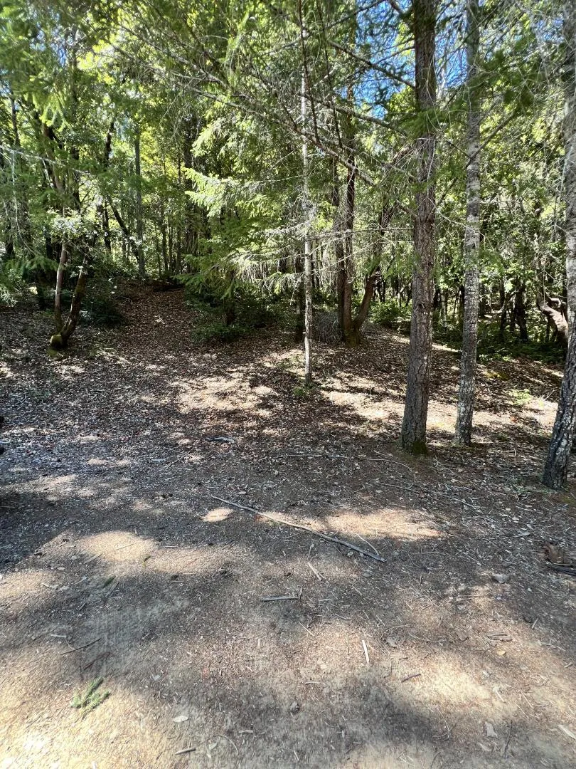 24858 Clover Road Willits, CA 95490