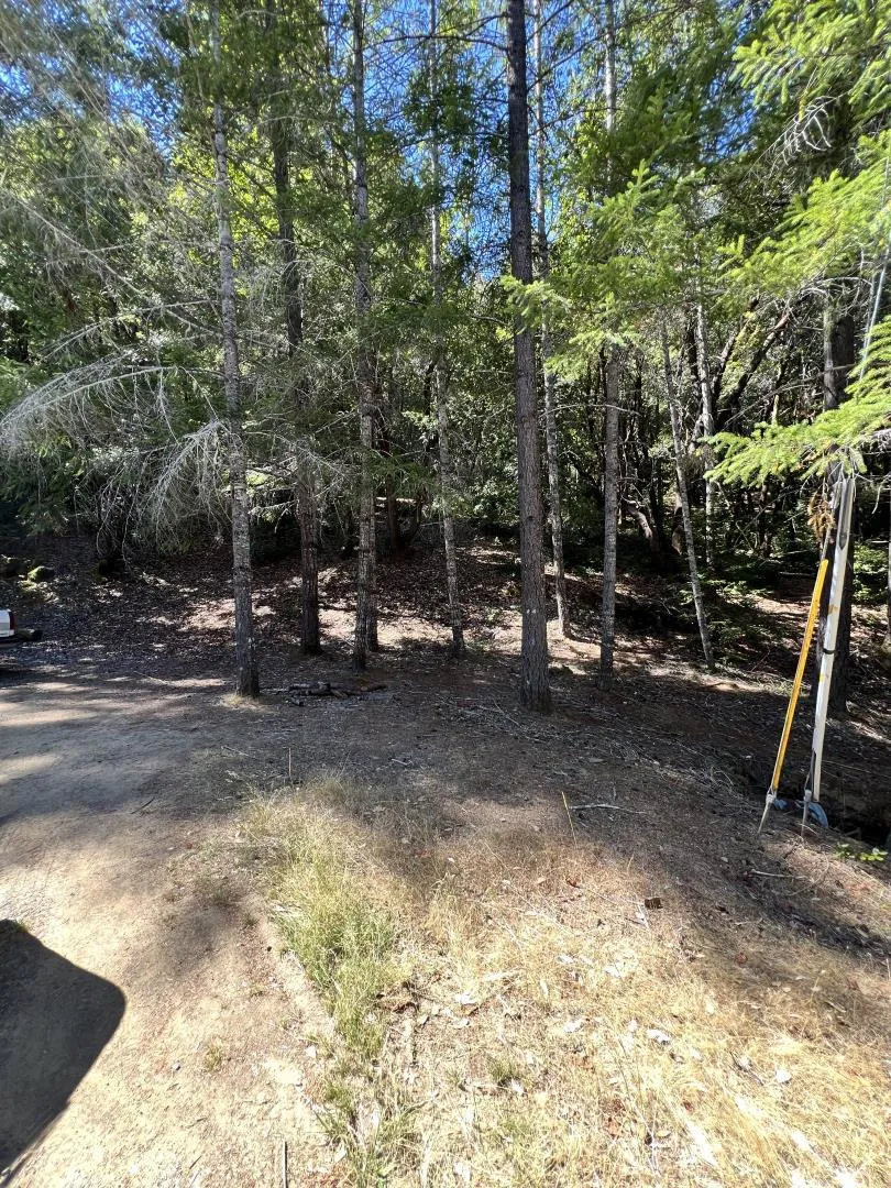 24858 Clover Road Willits, CA 95490