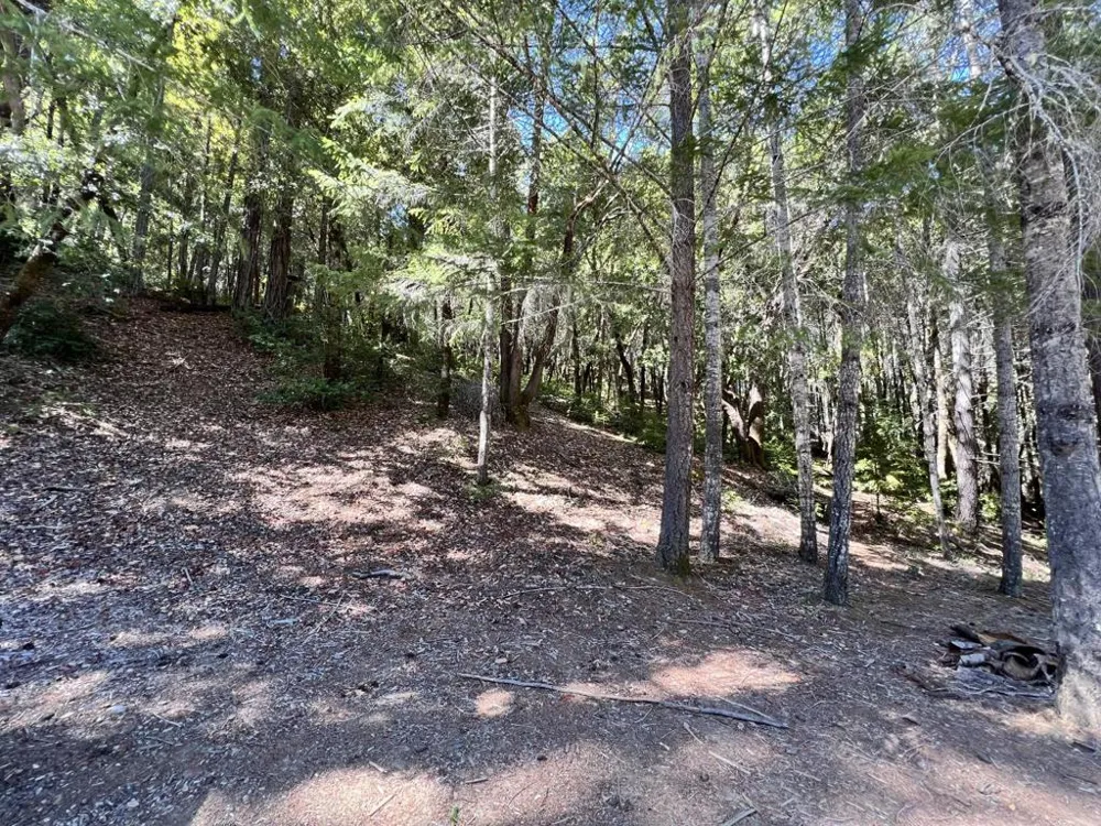 24858 Clover Road Willits, CA 95490