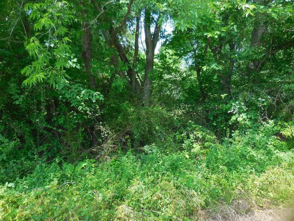 Garrett Avenue East Tawakoni, TX 75472