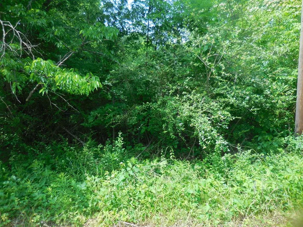Garrett Avenue East Tawakoni, TX 75472