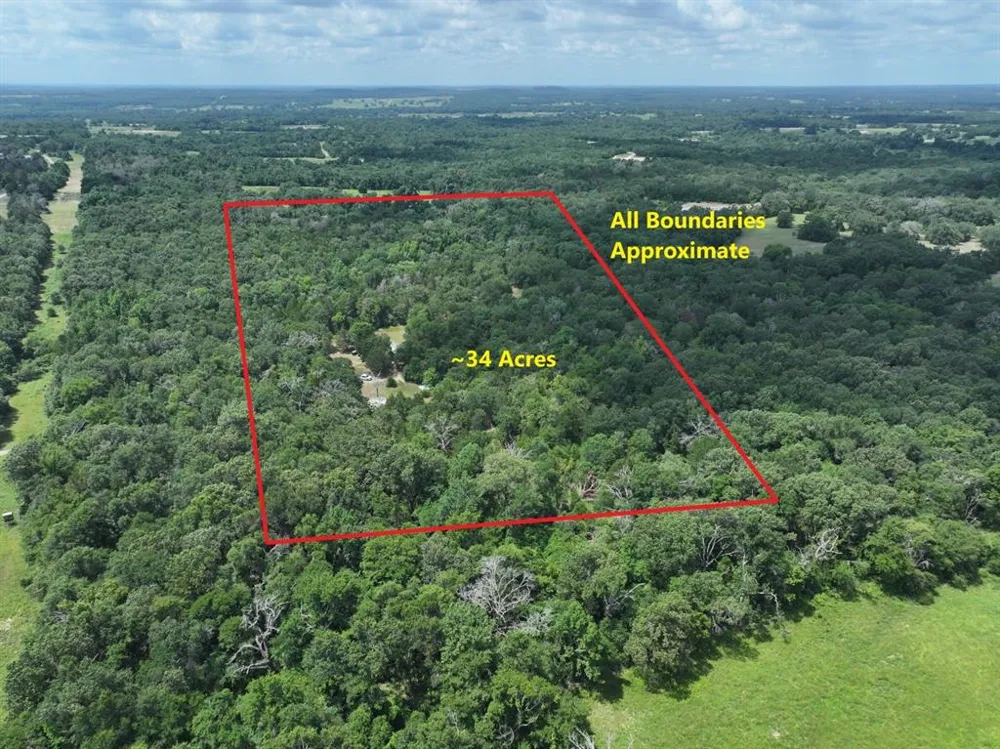CR 431 ROAD Fairfield, TX 75840