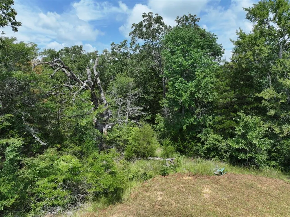CR 431 ROAD Fairfield, TX 75840
