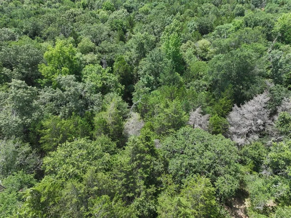 CR 431 ROAD Fairfield, TX 75840