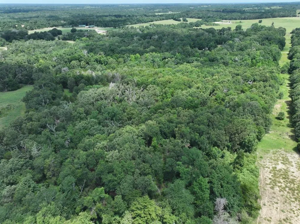 CR 431 ROAD Fairfield, TX 75840
