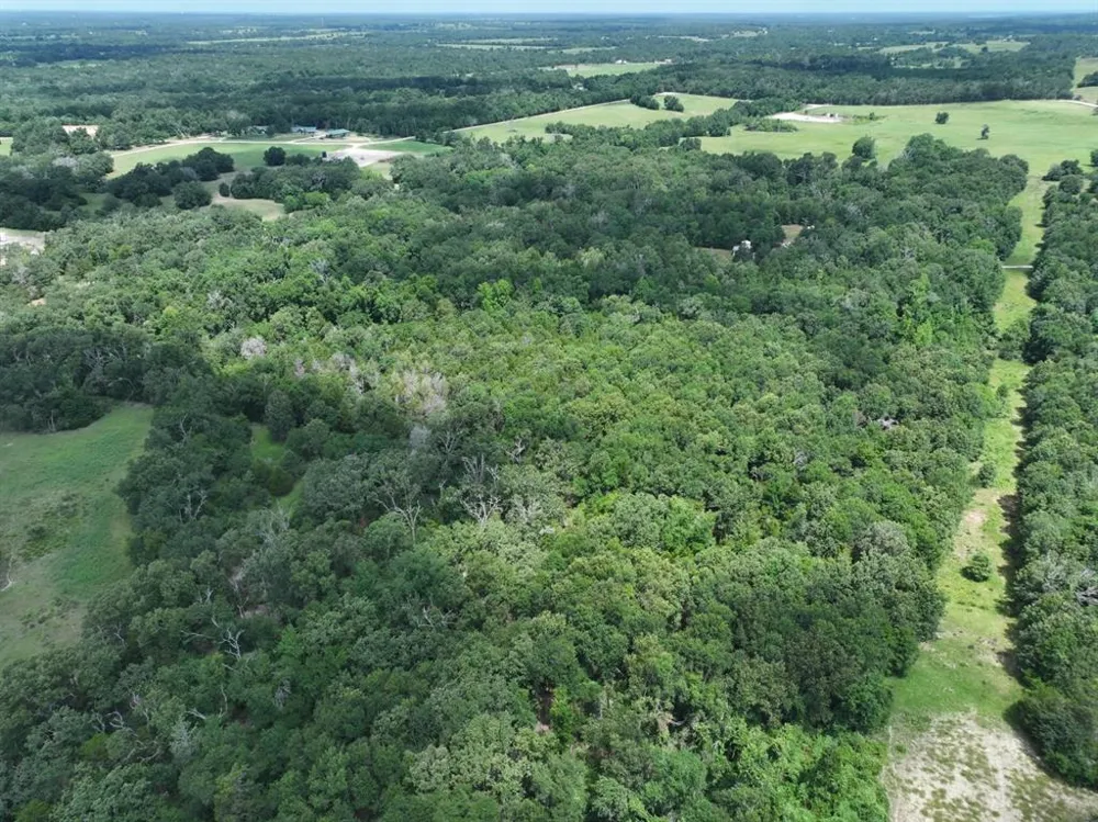CR 431 ROAD Fairfield, TX 75840