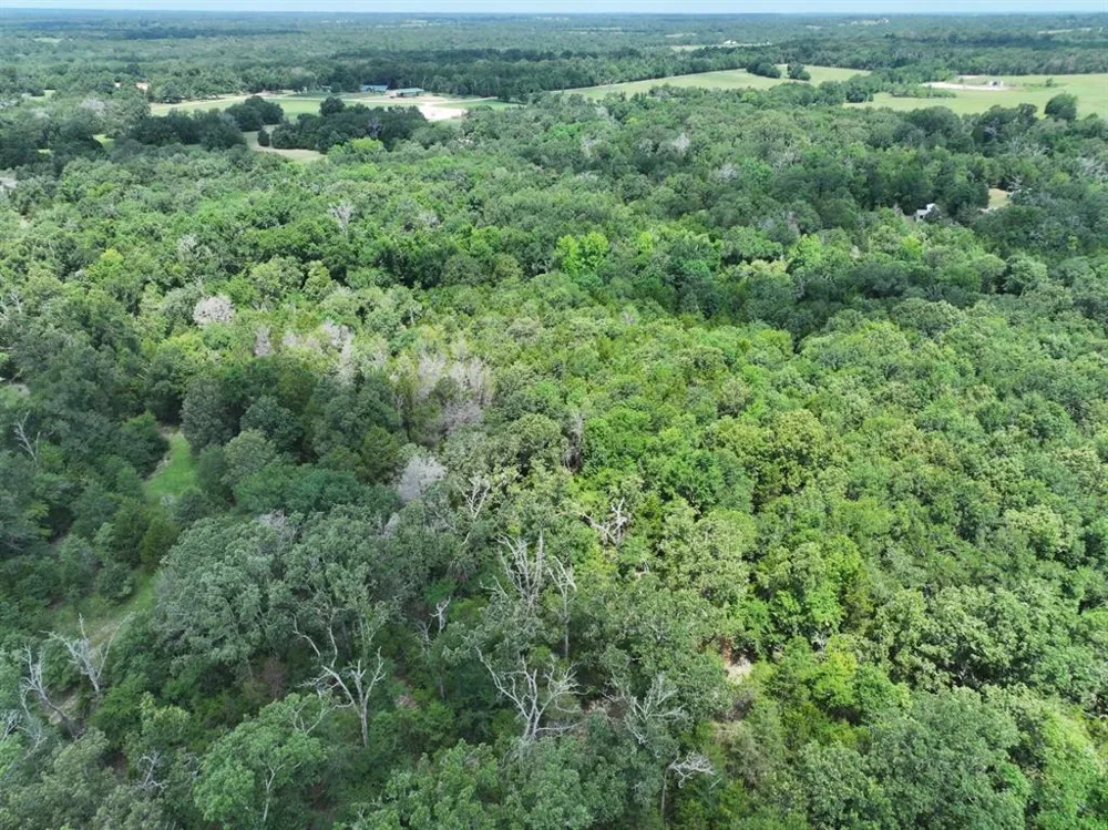 CR 431 ROAD Fairfield, TX 75840