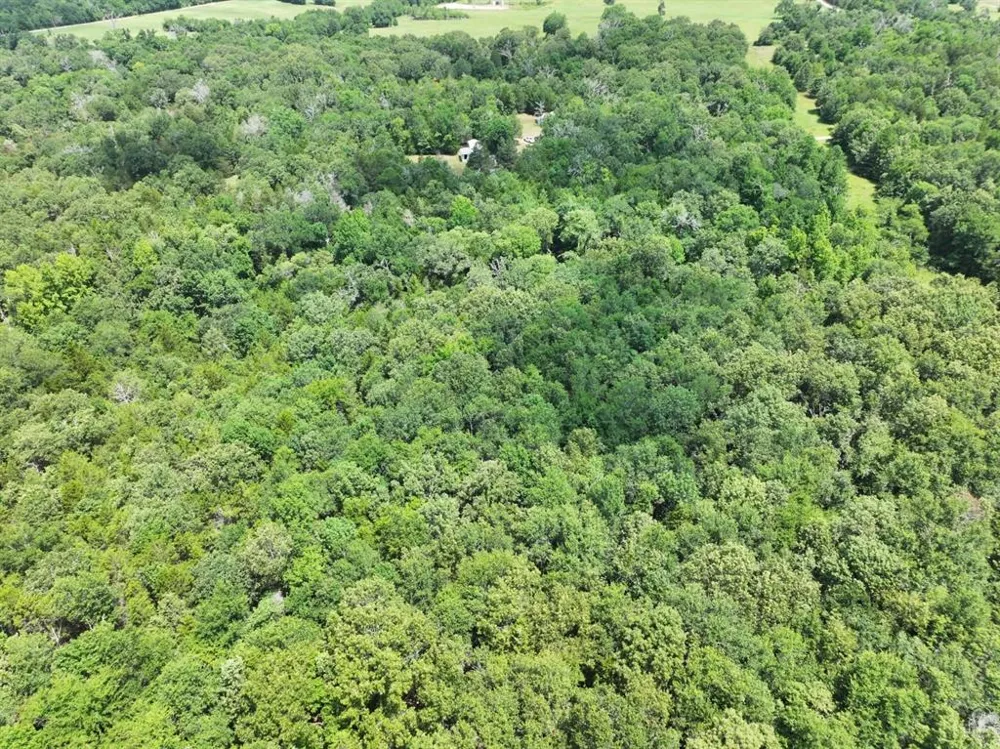 CR 431 ROAD Fairfield, TX 75840