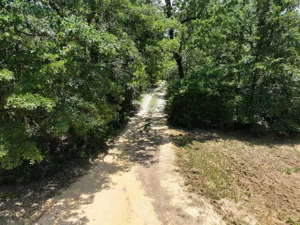 CR 431 ROAD Fairfield, TX 75840
