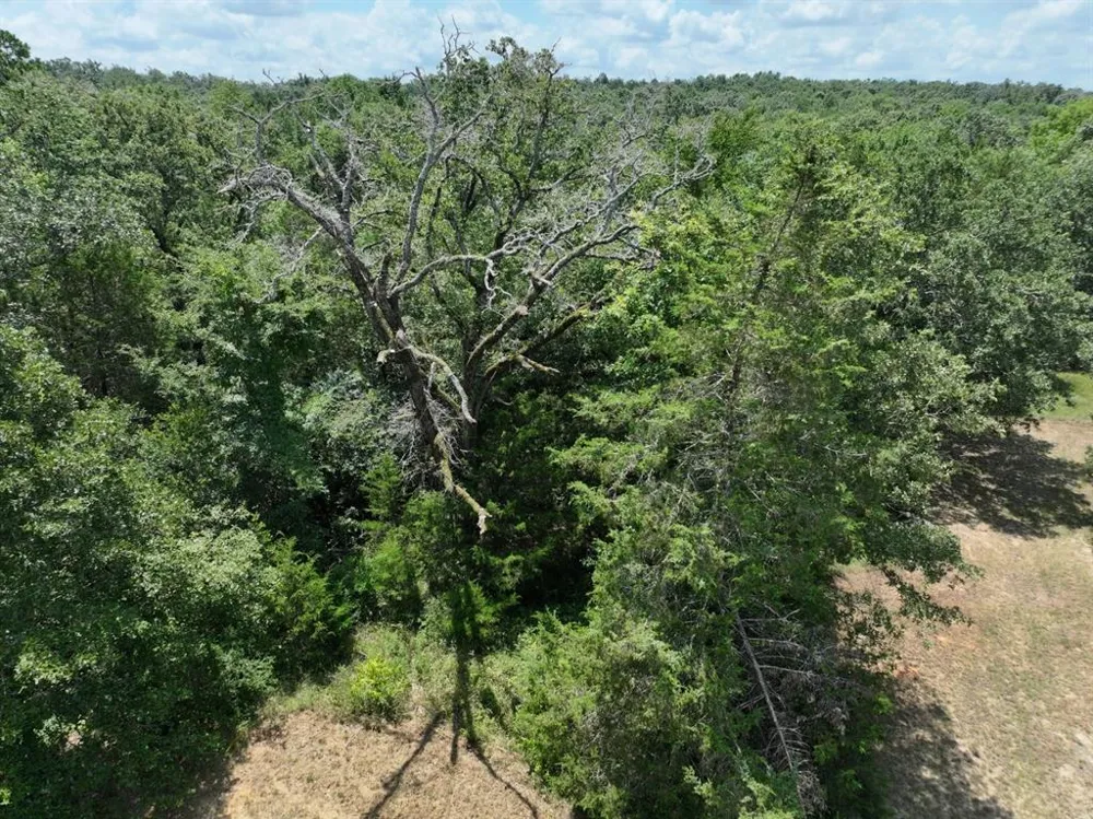 CR 431 ROAD Fairfield, TX 75840