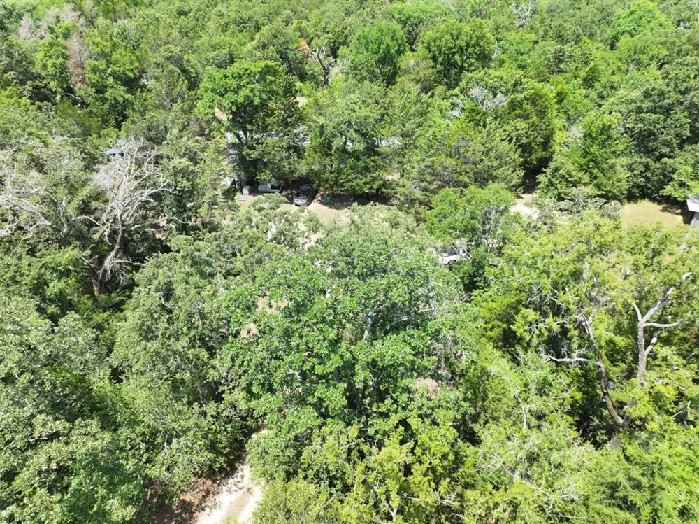 CR 431 ROAD Fairfield, TX 75840