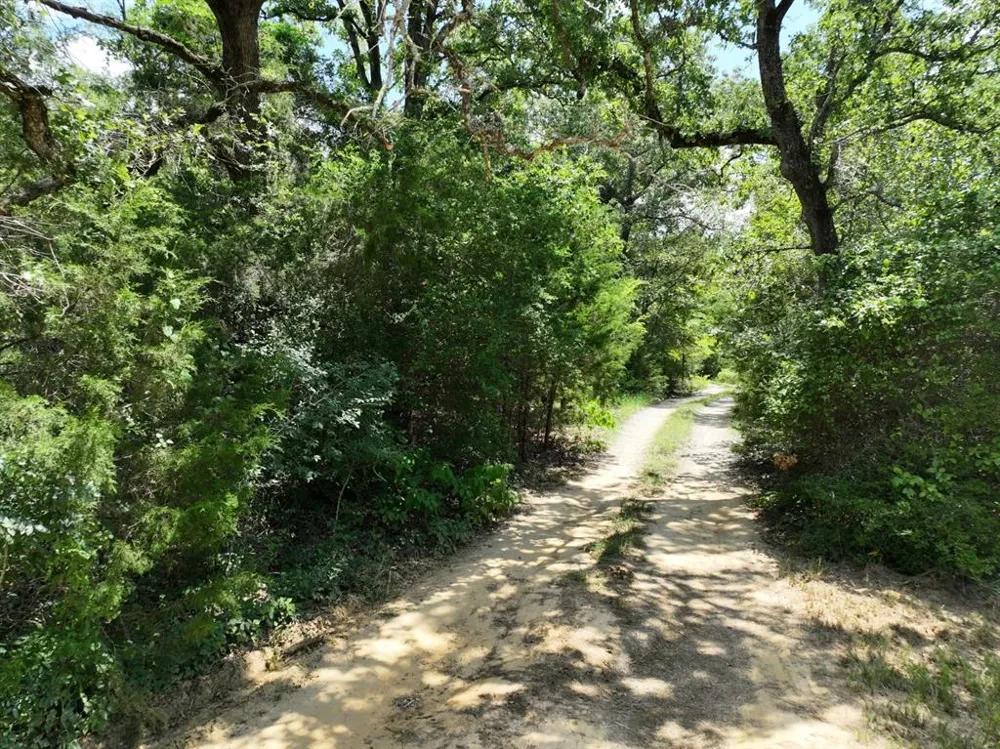 CR 431 ROAD Fairfield, TX 75840