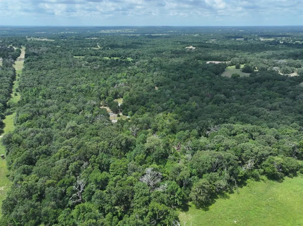CR 431 ROAD Fairfield, TX 75840