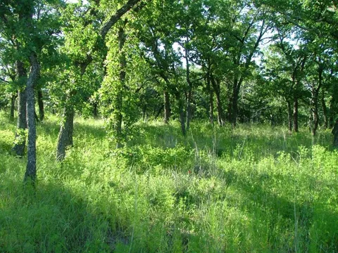 Ridgeline Drive