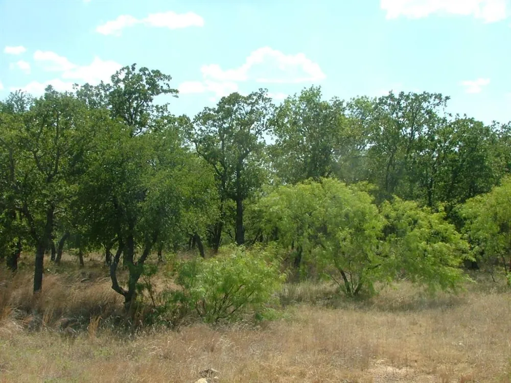Ridgeline Drive Chico, TX 76431