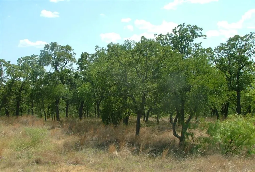 Ridgeline Drive Chico, TX 76431