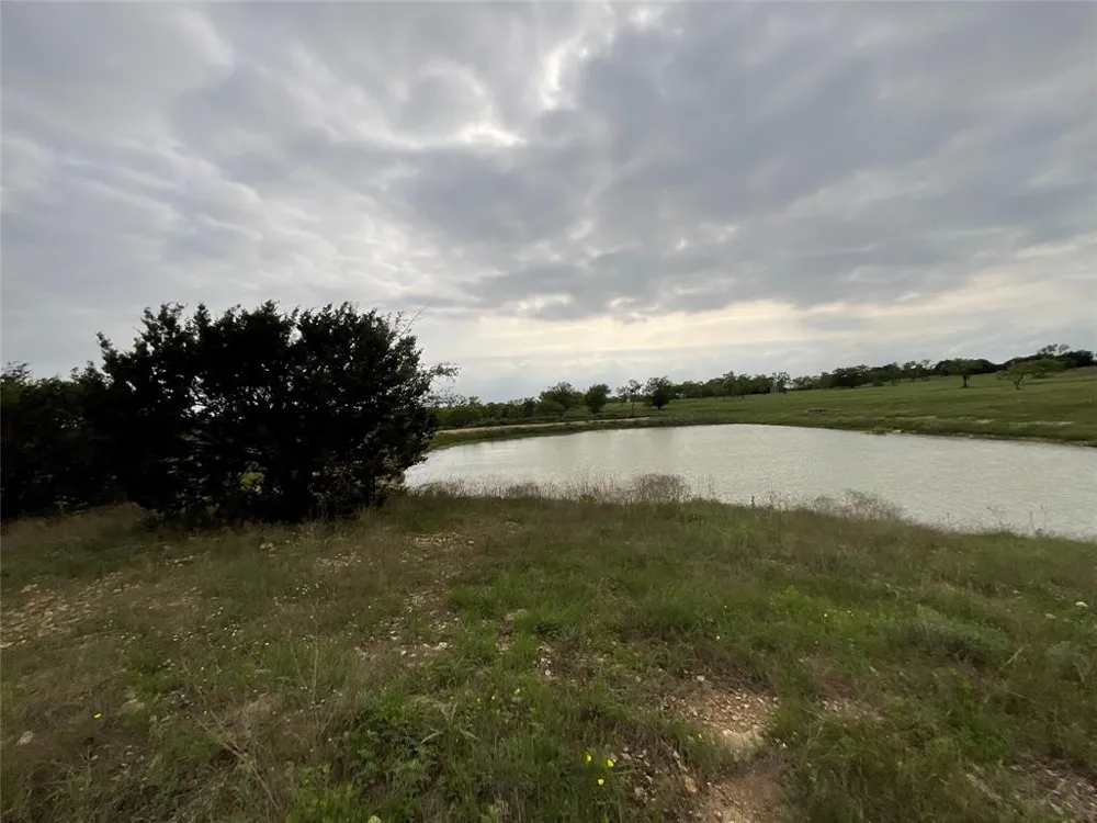 1009 Goodnight Trail Perrin, TX 76486
