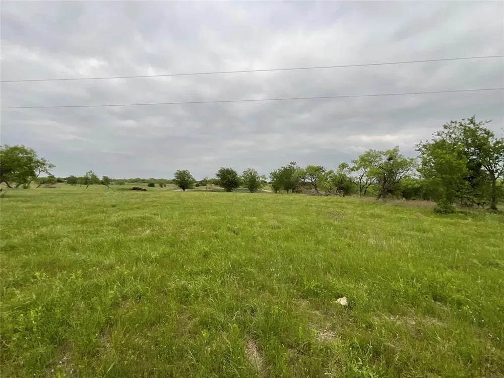 1009 Goodnight Trail Perrin, TX 76486
