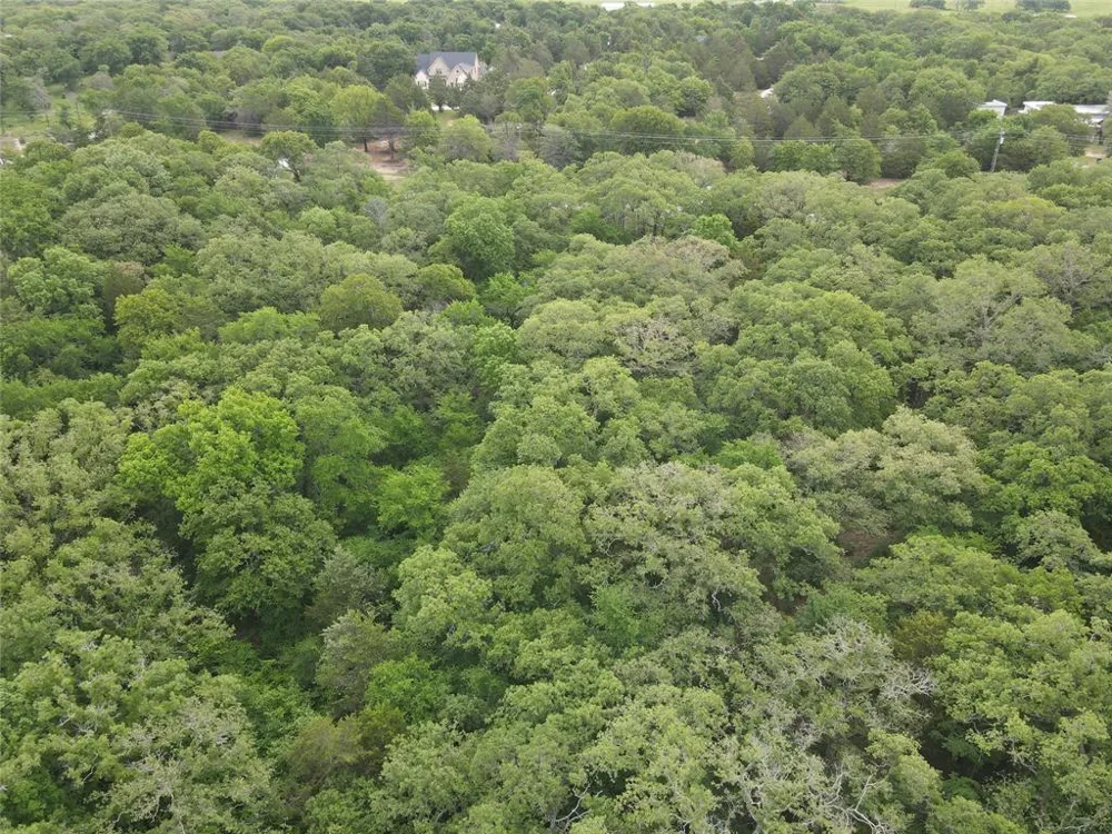 County Road 2255 Valley View, TX 76272