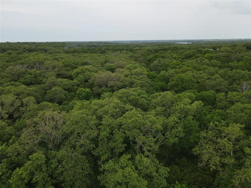 County Road 2255 Valley View, TX 76272