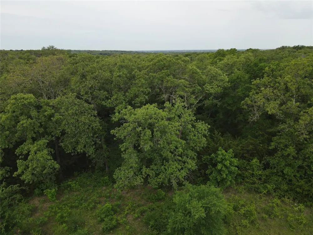 County Road 2255 Valley View, TX 76272