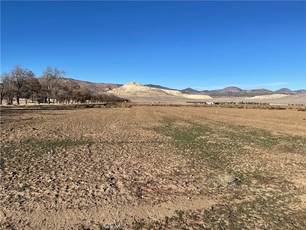 20028 Tehachapi Willow Springs Rd Tehachapi, CA 93561