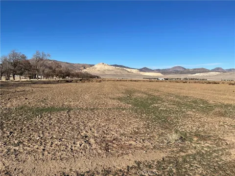 20028 Tehachapi Willow Springs Rd