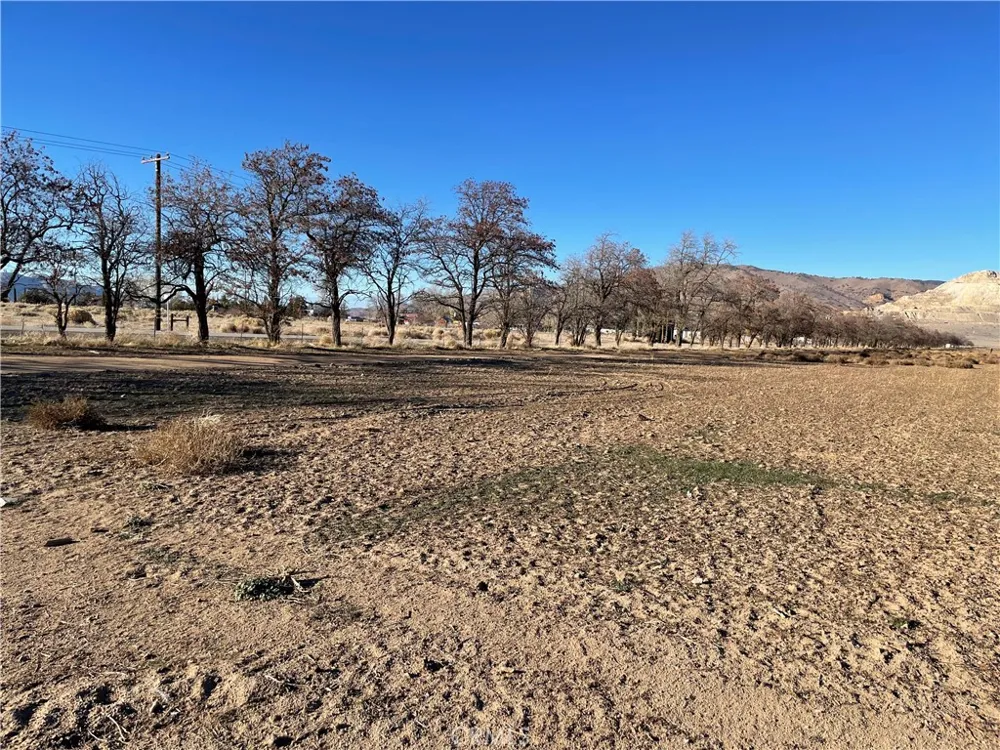 20028 Tehachapi Willow Springs Rd Tehachapi, CA 93561