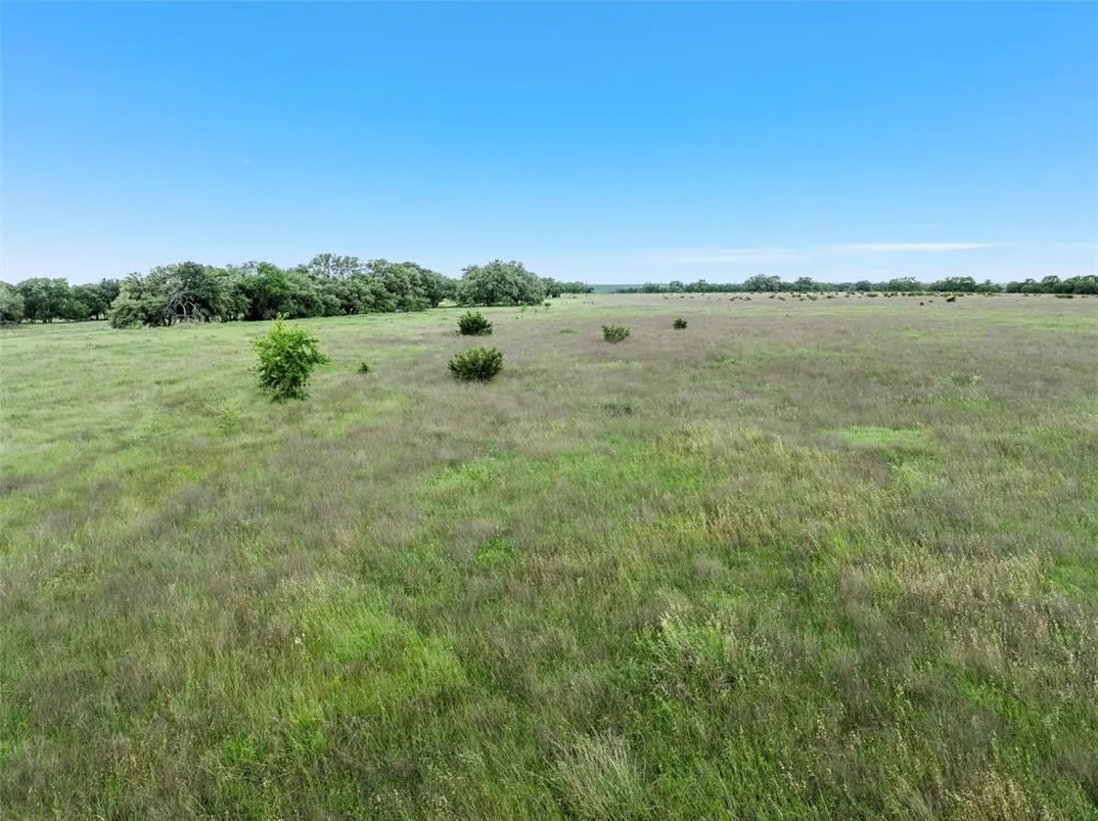 446 Grand Canyon Drive Oglesby, TX 76561