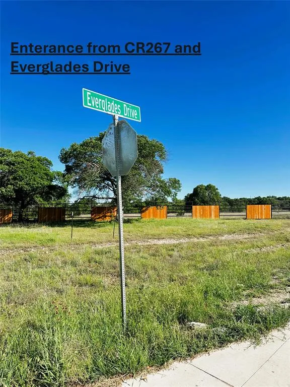 446 Grand Canyon Drive Oglesby, TX 76561