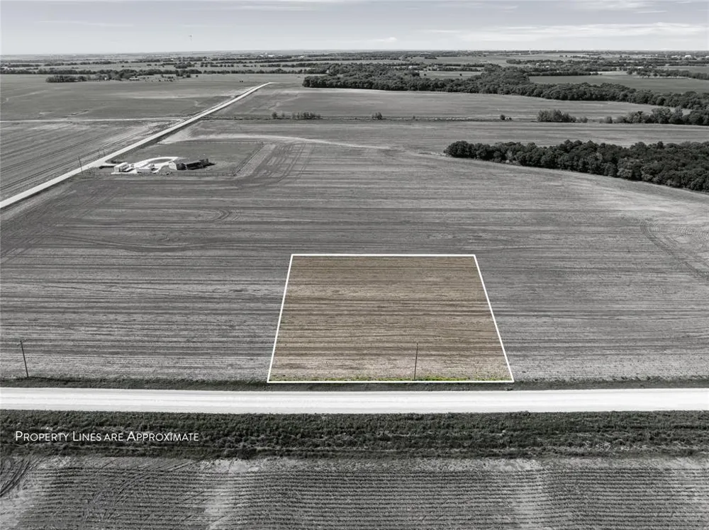 Trlica Road West, TX 76691