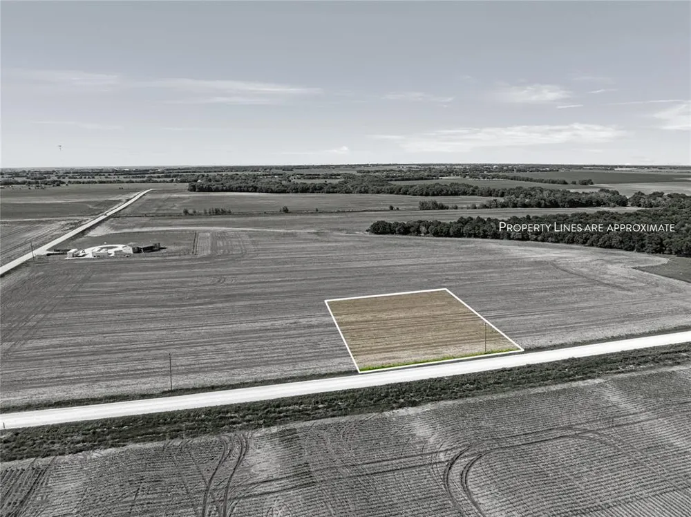 Trlica Road West, TX 76691