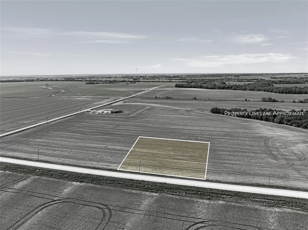 Trlica Road West, TX 76691