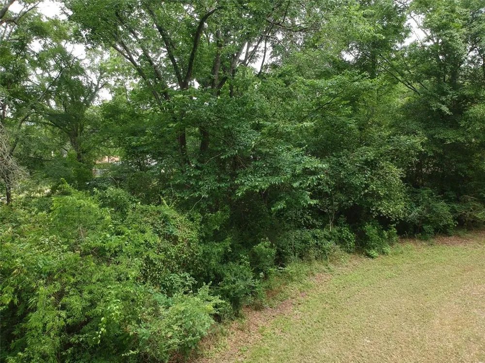 S Friou Street Jefferson, TX 75657
