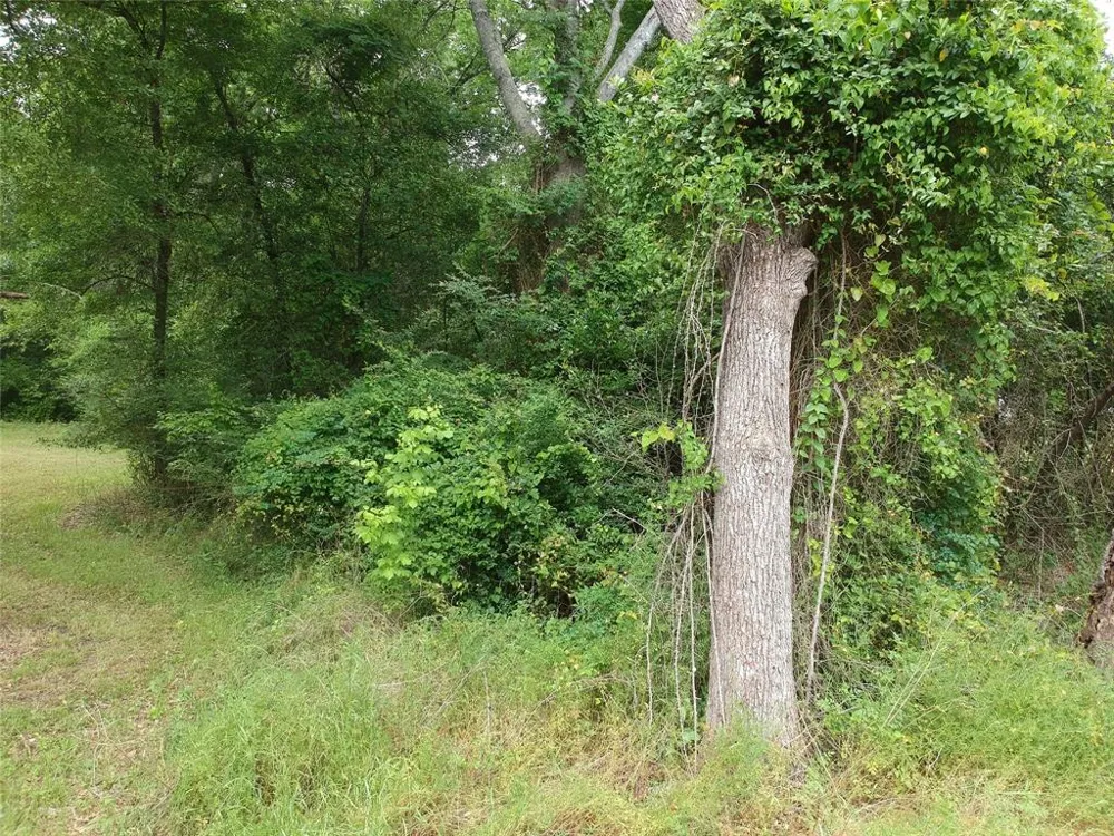 S Friou Street Jefferson, TX 75657