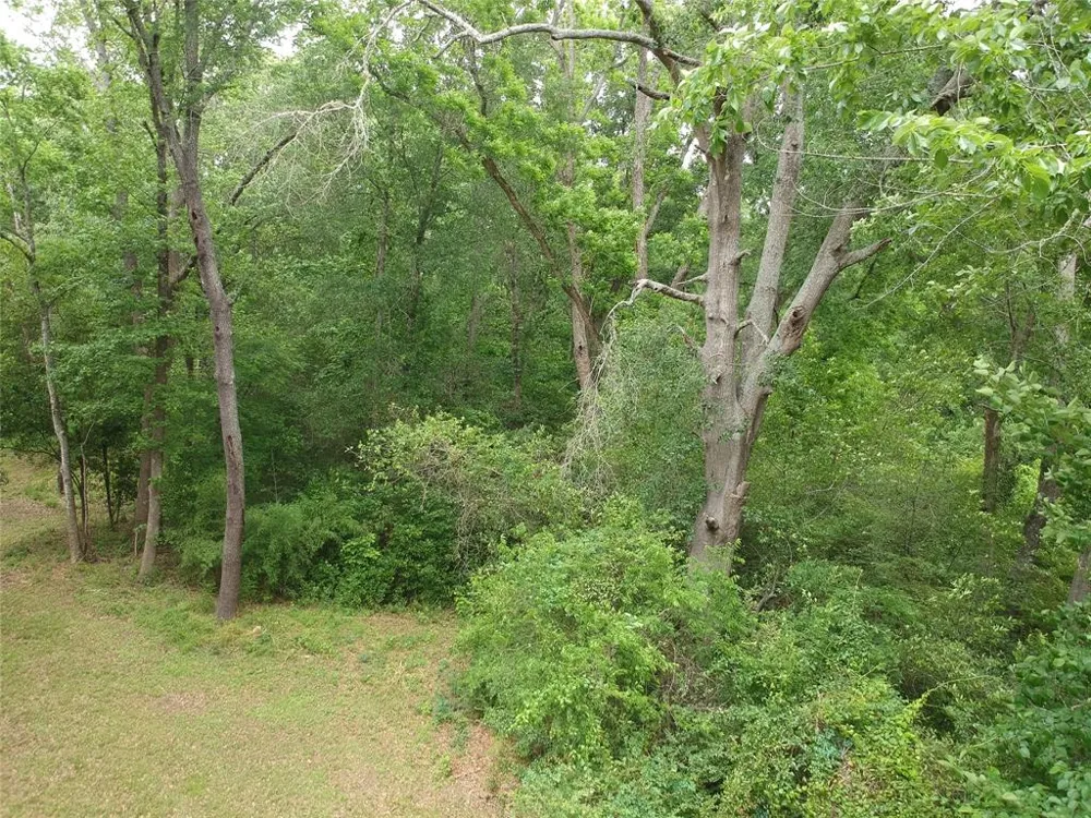 S Friou Street Jefferson, TX 75657