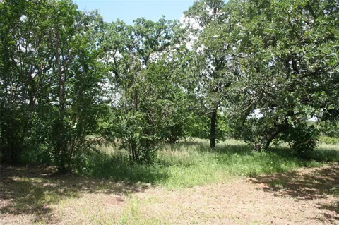 215 Buzbee Road